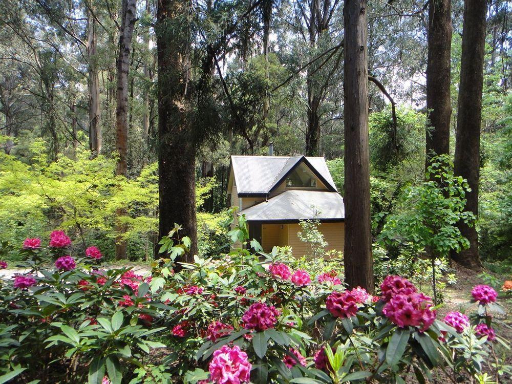 Lochiel Luxury Accommodation Olinda Dış mekan fotoğraf
