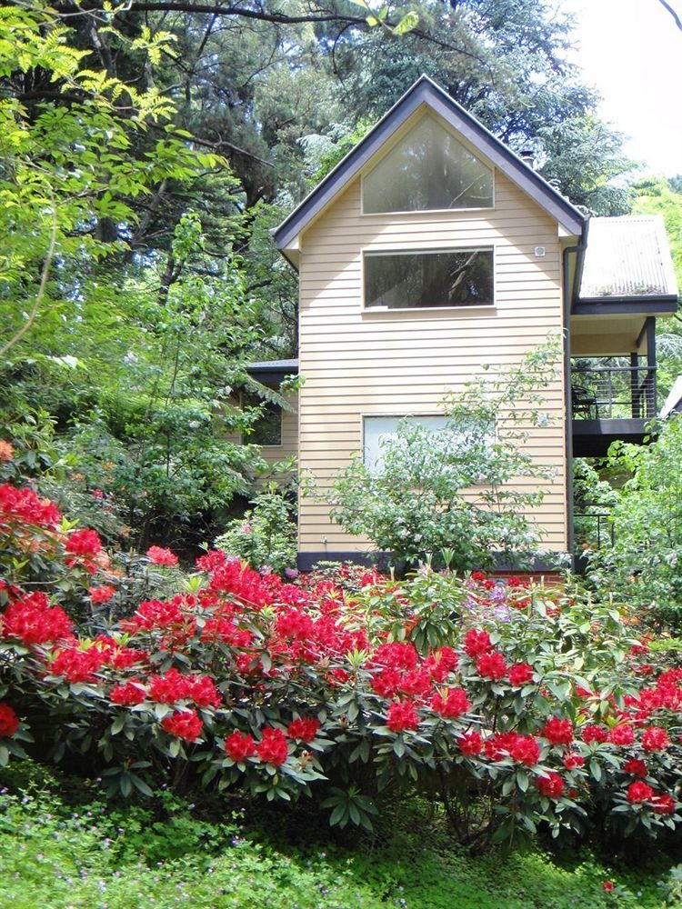 Lochiel Luxury Accommodation Olinda Dış mekan fotoğraf