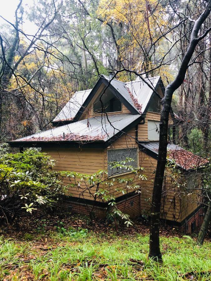 Lochiel Luxury Accommodation Olinda Dış mekan fotoğraf