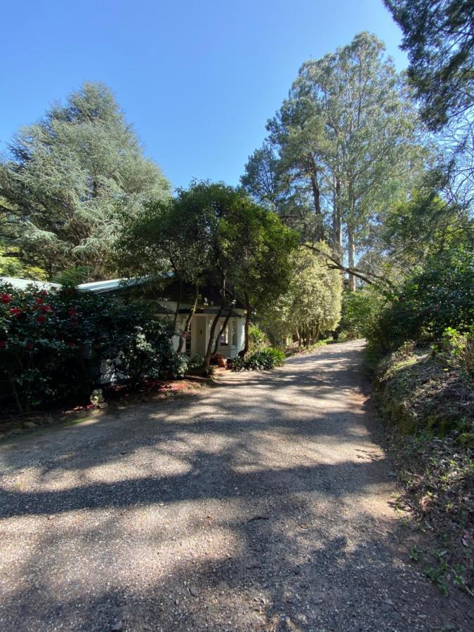 Lochiel Luxury Accommodation Olinda Dış mekan fotoğraf