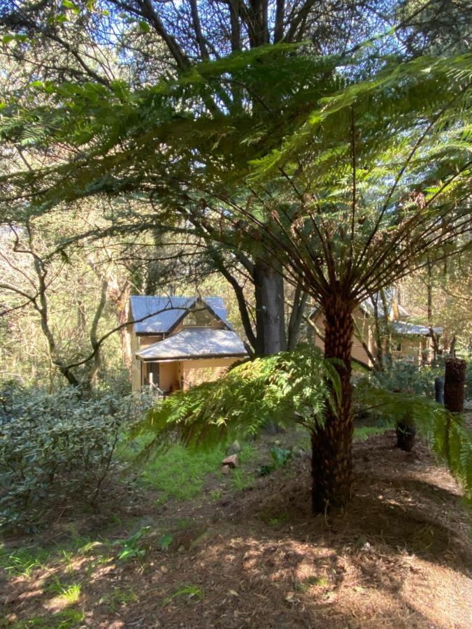 Lochiel Luxury Accommodation Olinda Dış mekan fotoğraf