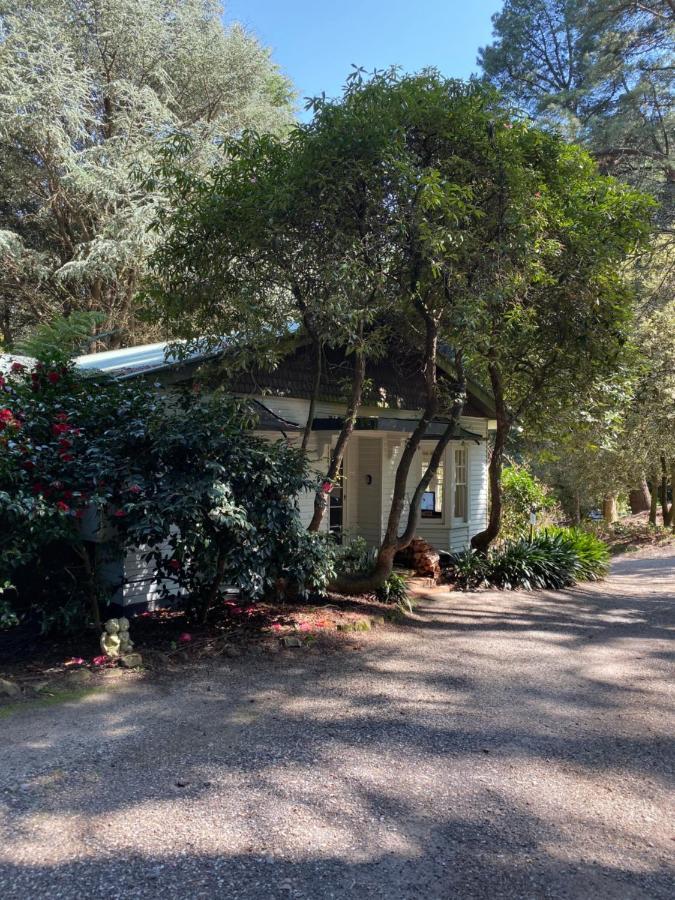 Lochiel Luxury Accommodation Olinda Dış mekan fotoğraf